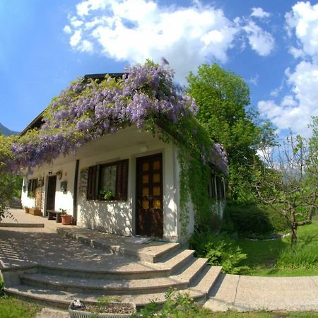 Apartma Bel Zaga Экстерьер фото