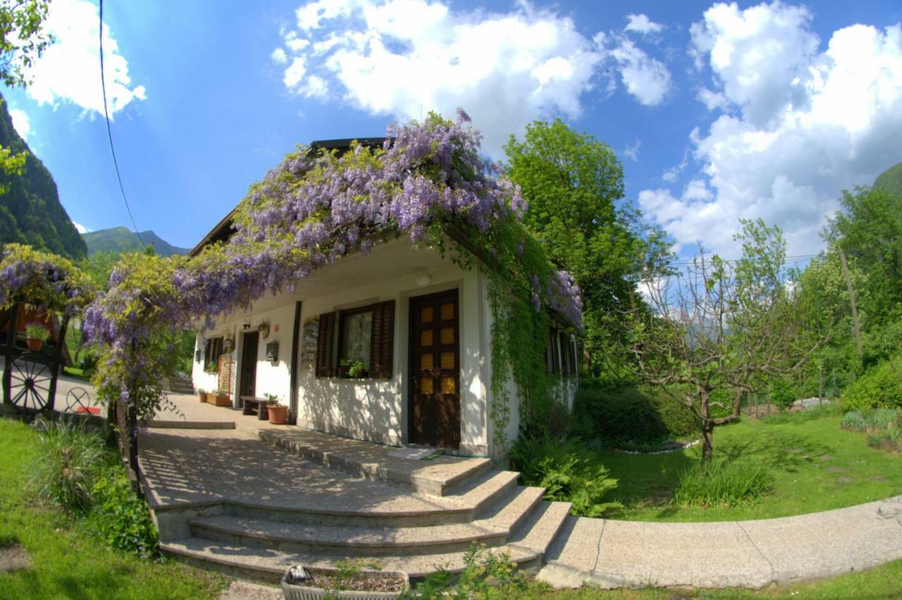 Apartma Bel Zaga Экстерьер фото